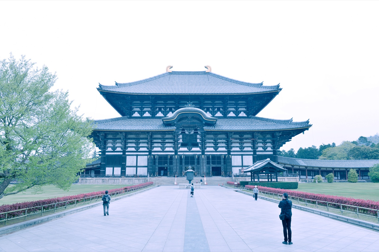 奈良の自然風景