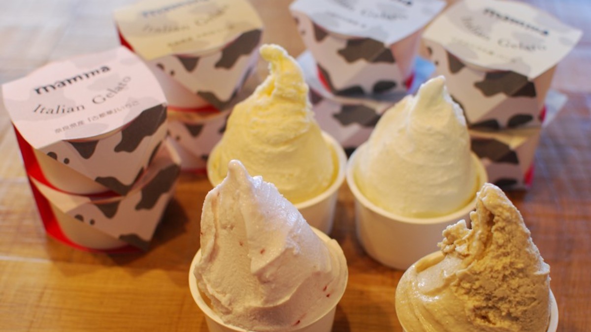 奈良ふるさと納税返礼品まとめ～地域で自慢のおいしいスイーツ編～【2022年版】