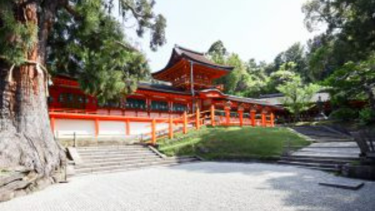 【奈良日帰りツアー特集2023秋】春日大社　御本殿特別参拝と重森三玲作庭・貴賓館庭園の特別鑑賞｜奈良市観光協会