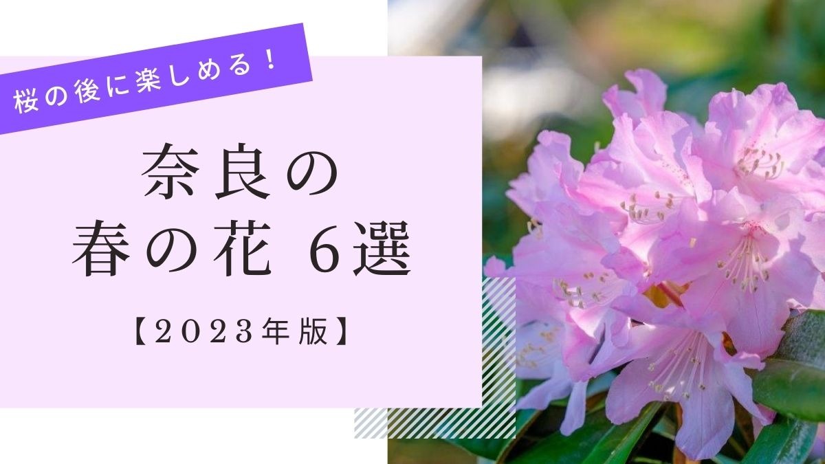 【2023年】桜の後に楽しめる！「奈良県」の春の花6選