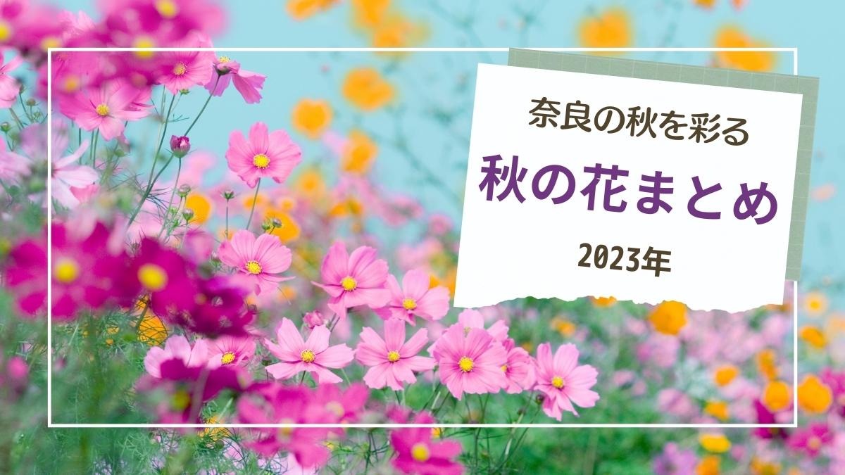 【奈良の秋の花2023】奈良の秋を彩る秋の花スポットまとめ