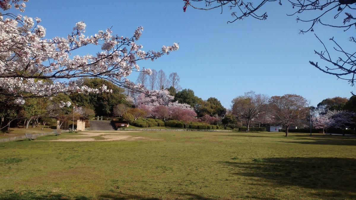 【春の公園ピクニック】県立大和民俗公園