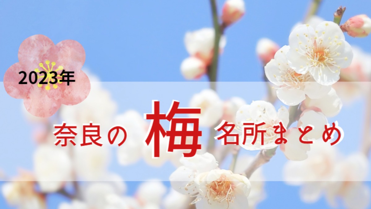 【奈良の梅の名所まとめ 2023】三大梅林や盆梅展をご紹介！
