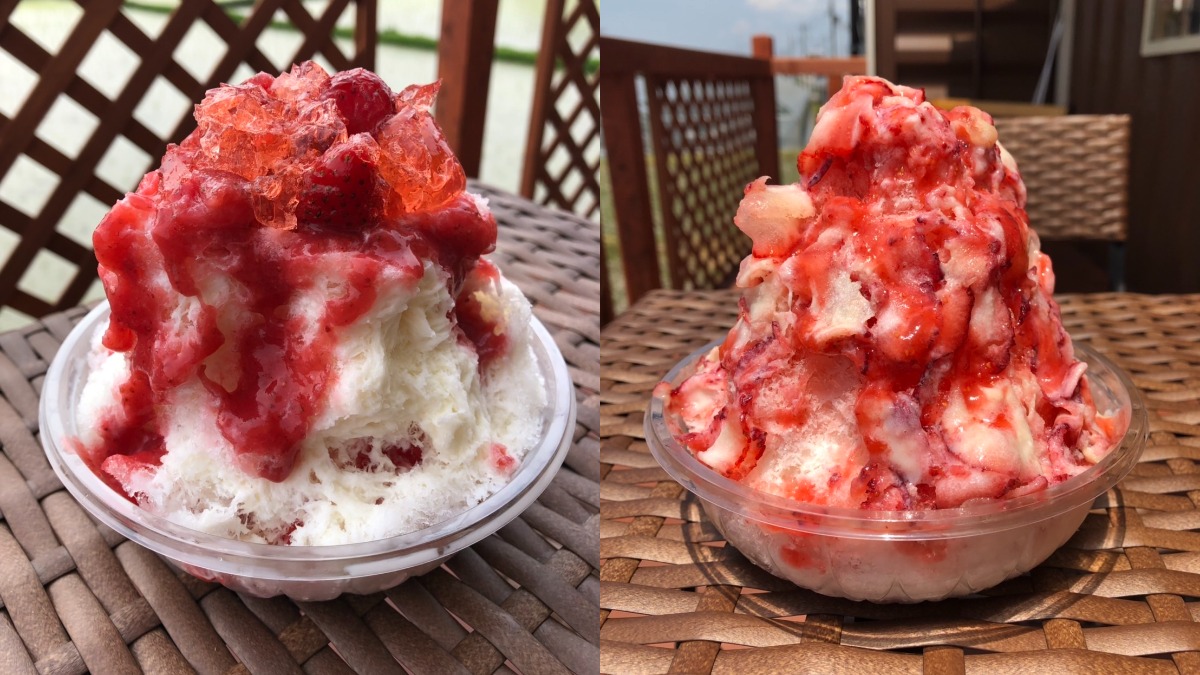 今年もスタート！直売所のいちごかき氷【ストロベリー工房/奈良市】