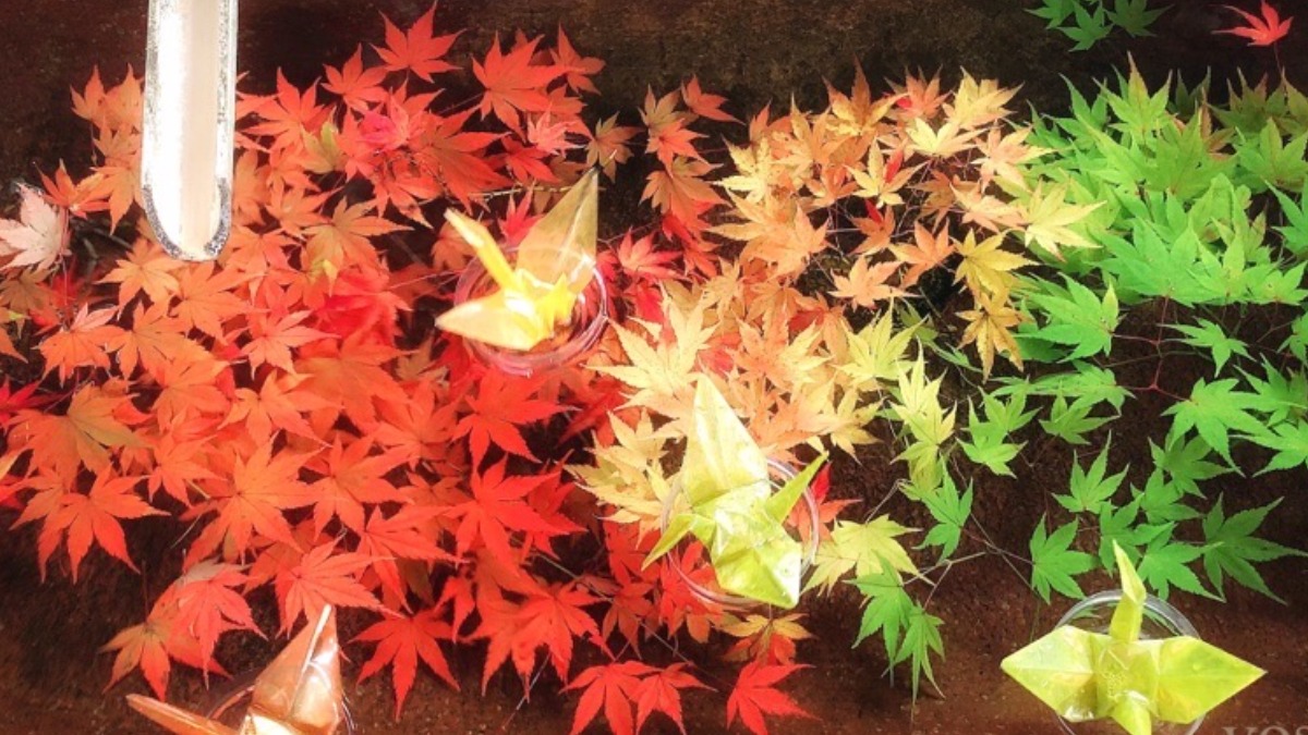 吉野山の麓であざやかな紅葉に包まれる明治創建の「吉野神宮」【吉野町】