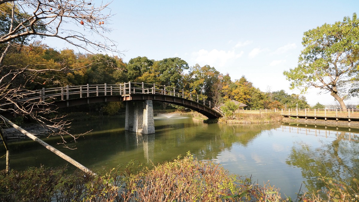 【春の公園ピクニック】二上山ふるさと公園