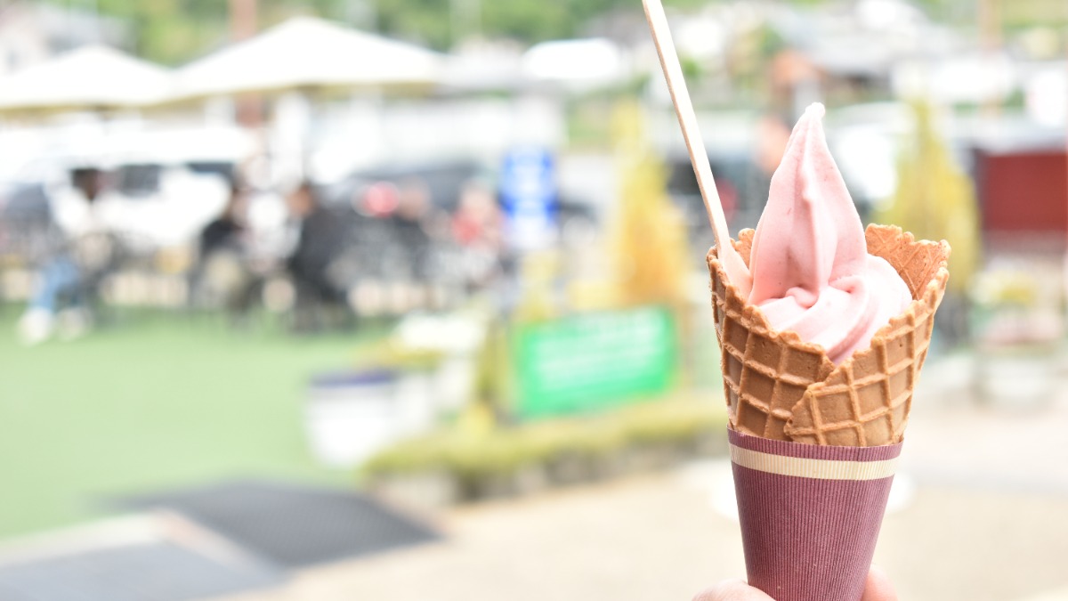 大人気の古都華スイーツや満腹フード、地場産アイテムなどがズラリ！『道の駅大和路へぐり』の“道の駅マルシェ”