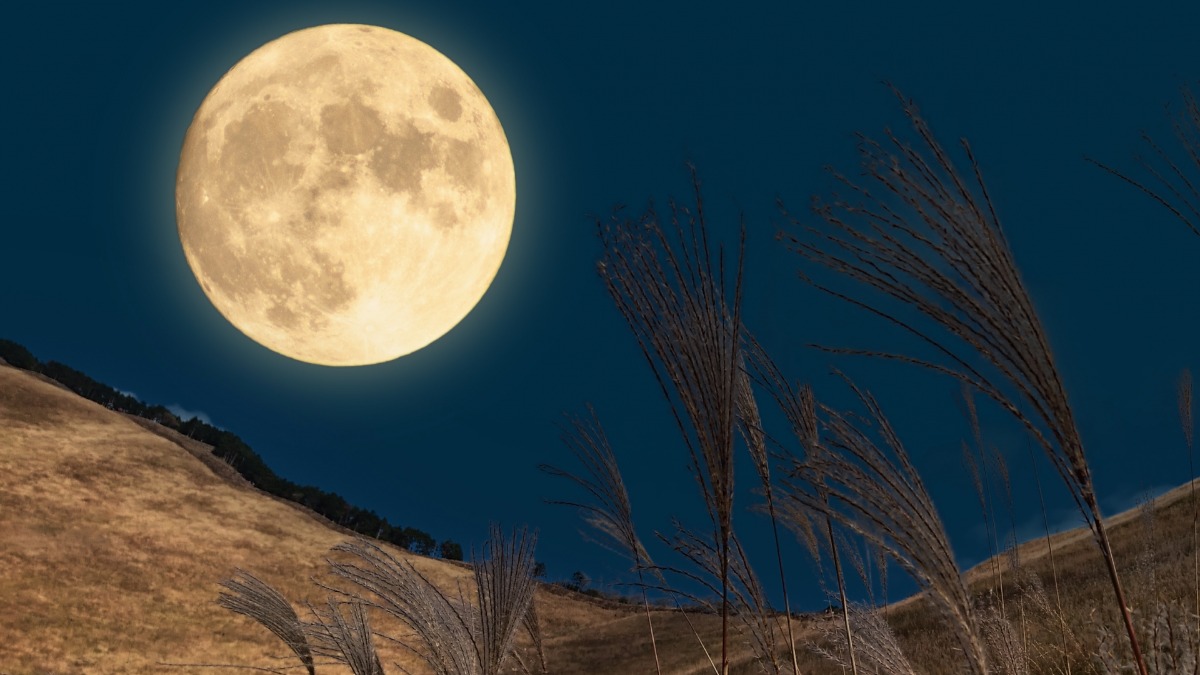 9月10日は中秋の名月【奈良県的今日は何の日？】