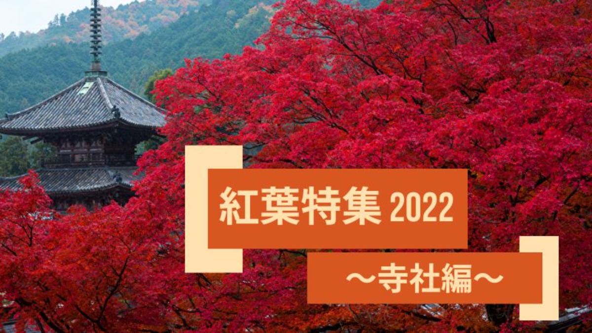 奈良の寺社と紅葉が織りなす日本の美を堪能しよう！【紅葉特集2022｜寺社編】