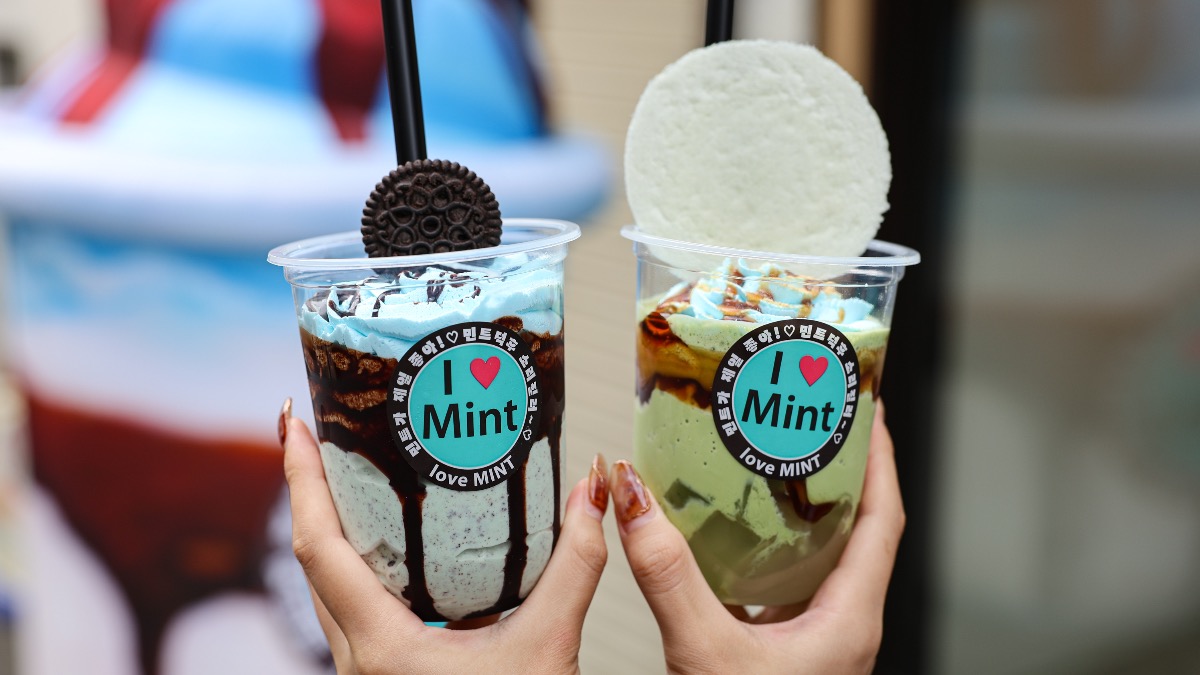 近鉄奈良駅すぐ！チョコミント好きのための聖地「love Mint」がオープン