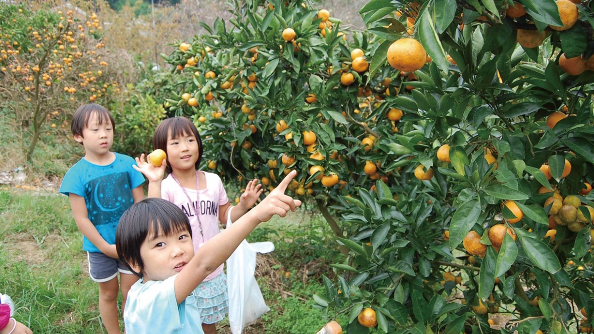 【収穫・手作り体験特集　2022】天理観光農園