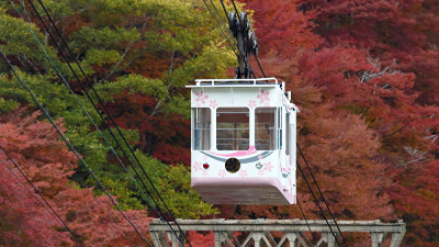 山全体が色づく絶景紅葉スポット【紅葉2021／吉野山／吉野町】