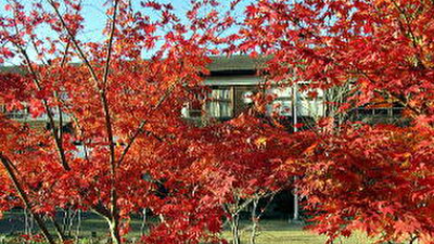 世界中のカエデが楽しめる紅葉スポット【紅葉2021／奈良カエデの郷ひらら／宇陀市】