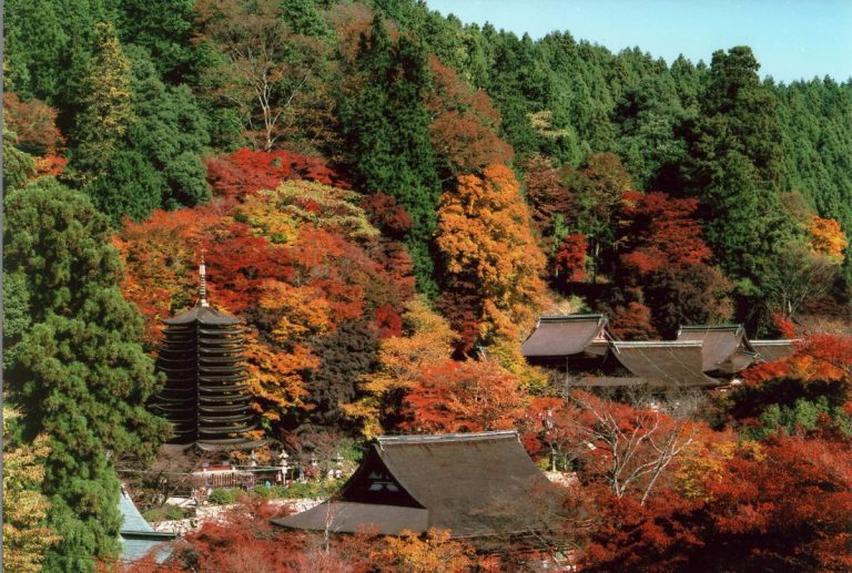 十三重塔と紅葉のコントラストは必見！「関西の日光」ともいわれる紅葉名所【談山神社｜桜井市】