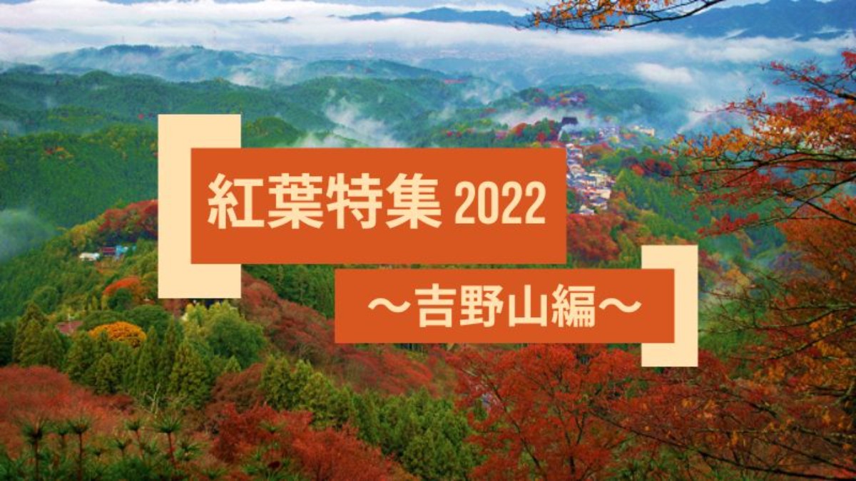 世界遺産の紅葉を楽しもう！【紅葉特集2022｜吉野山編】