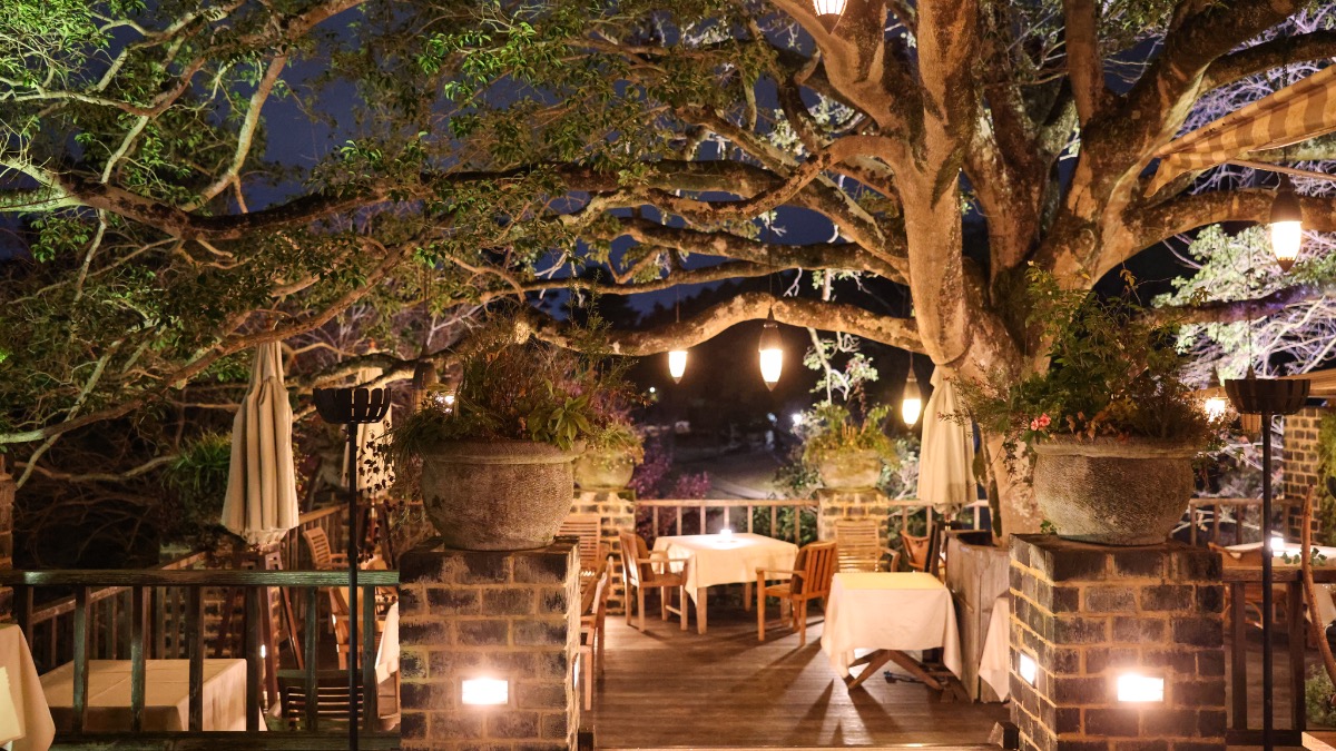 奈良公園で絶景フレンチ！「ラ・テラス」感動のコース体験レポ