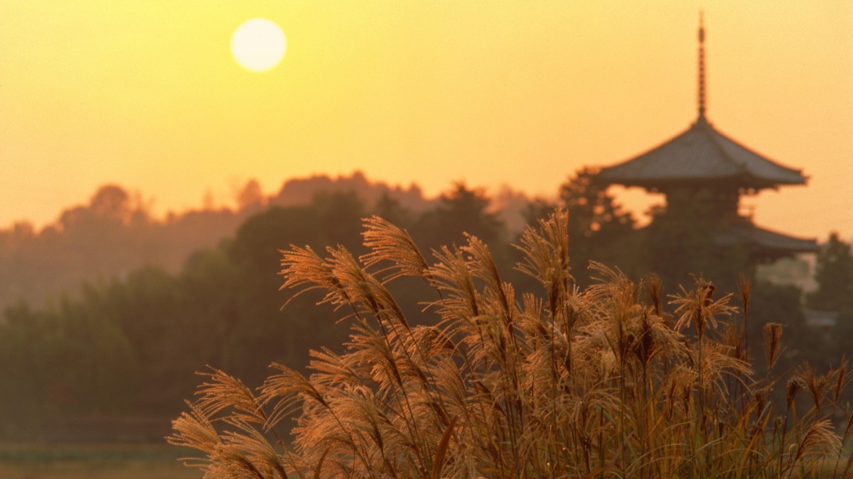 【入江泰吉生誕120年】奈良を愛した写真家・入江泰吉が選んだ奈良の春夏秋冬