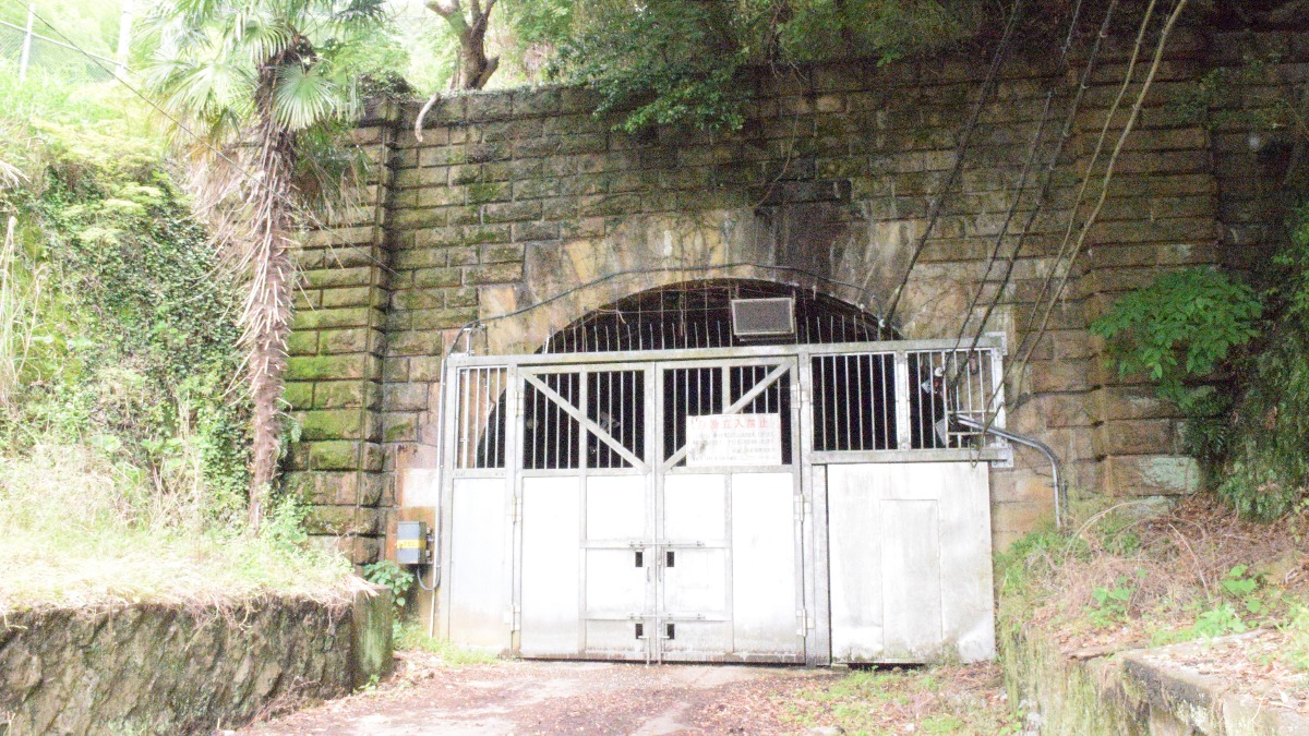 【動画あり】普段は「立ち入り禁止」　「旧生駒トンネル」の新たな活用法をご紹介【生駒隧道プロジェクト】