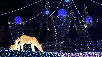 【奈良市】2022年も開催！しあわせ回廊 なら瑠璃絵