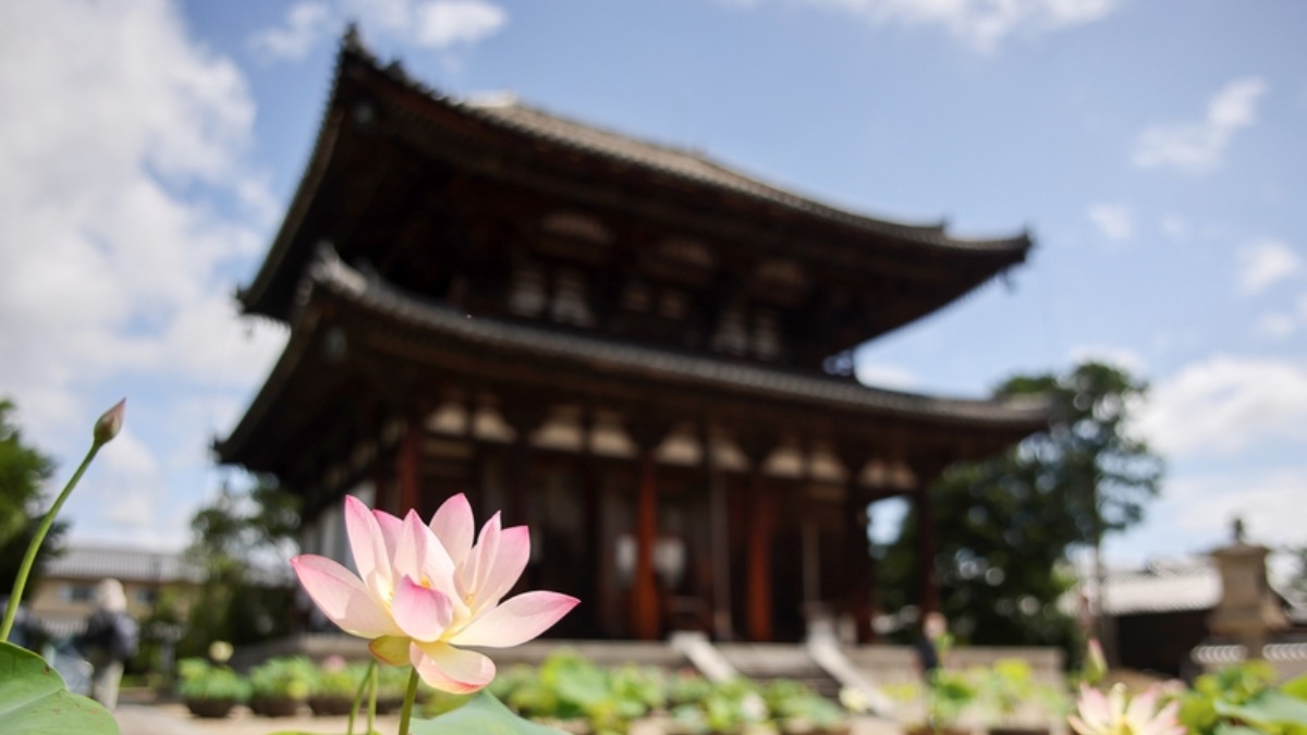 蓮が咲き誇るお寺巡り「奈良・西ノ京ロータスロード」開催中！【奈良市】