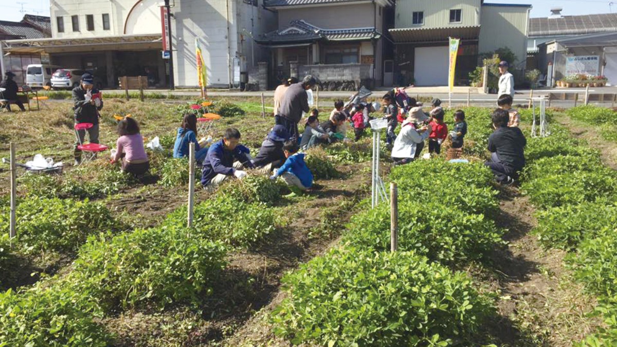 【収穫・手作り体験特集　2022】上長岡ファーム/柳本アグリ