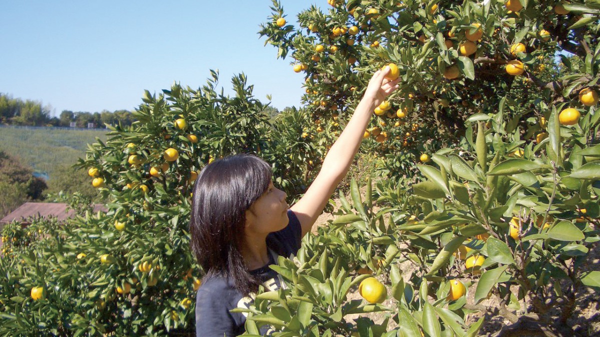 【収穫・手作り体験特集　2022】南楽園