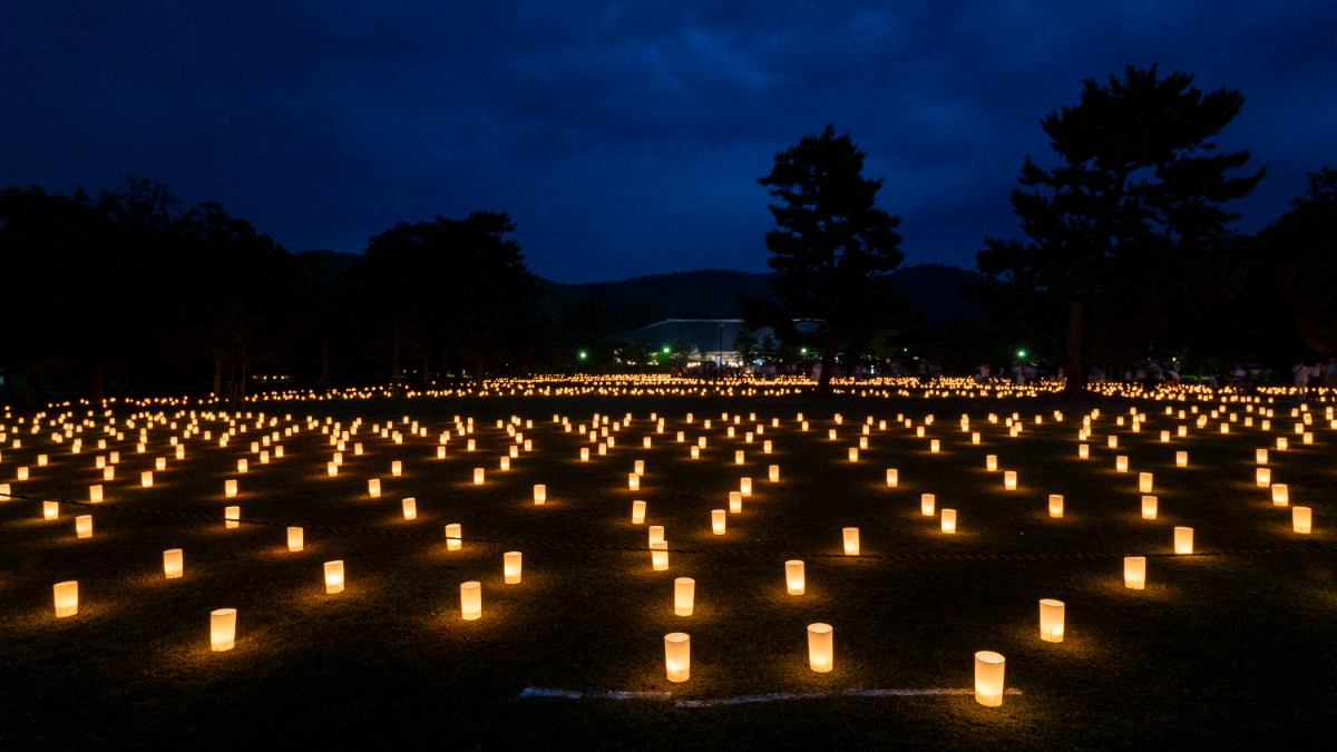 今年も幻想的な光が古都の夜を包み込む、奈良の夏の風物詩「なら燈花会」開催【奈良市】