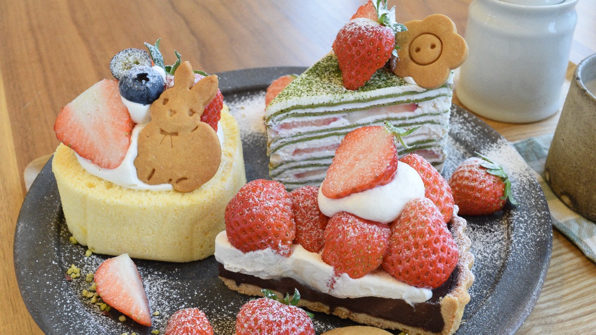 いちご尽くしに心ときめく！素材・手作りにこだわる自然派ケーキ【farmer’s cafe Printemps｜大和郡山市】