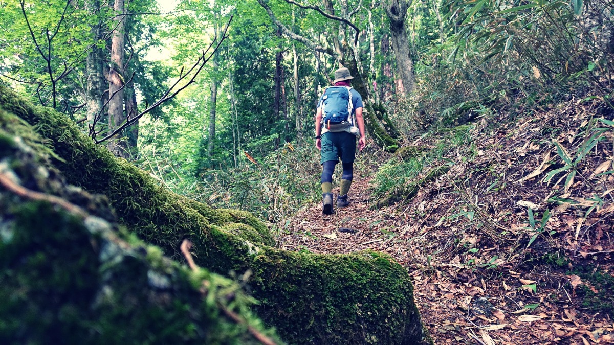10月3日は登山の日！奈良県の山のススメ【奈良県的今日は何の日？】