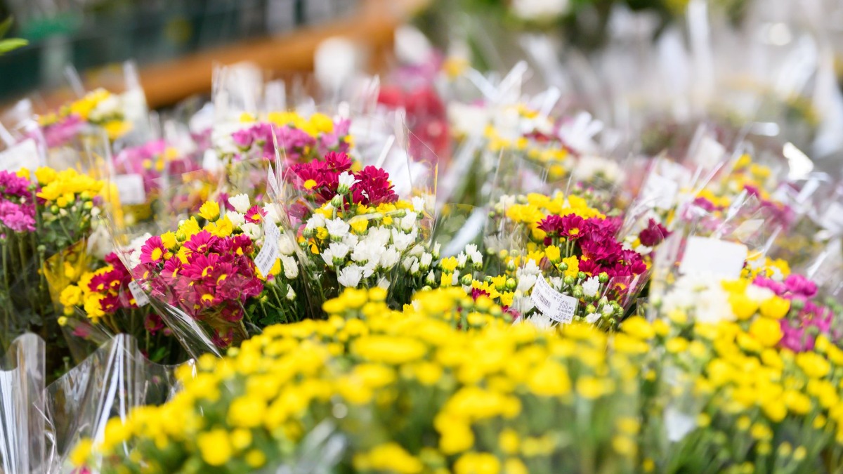 奈良の魅力再発見！「2022夏 へぐり俚（さと）び体験フェスタ」【平群町】