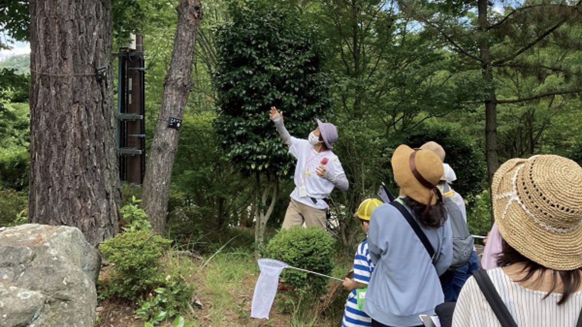 【夏のイベント情報】自然観察とネイチャークラフト