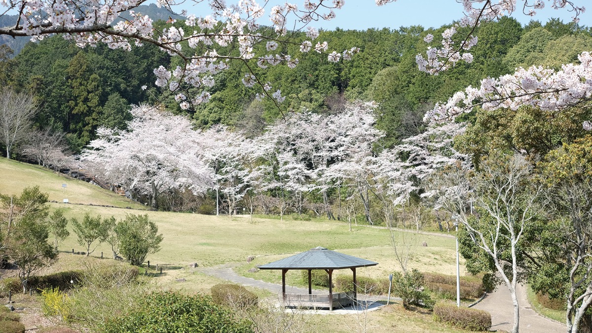 【春の公園ピクニック】葛城山麓公園