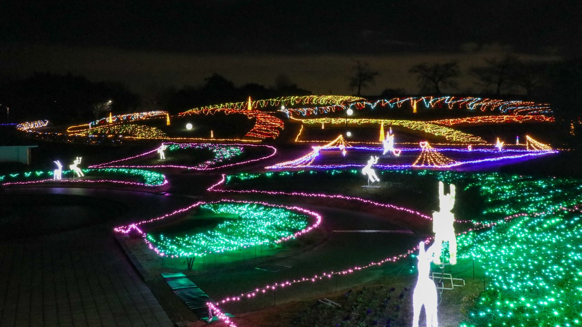 【奈良イルミネーション2023】光の花咲く馬見丘陵公園のクリスマス