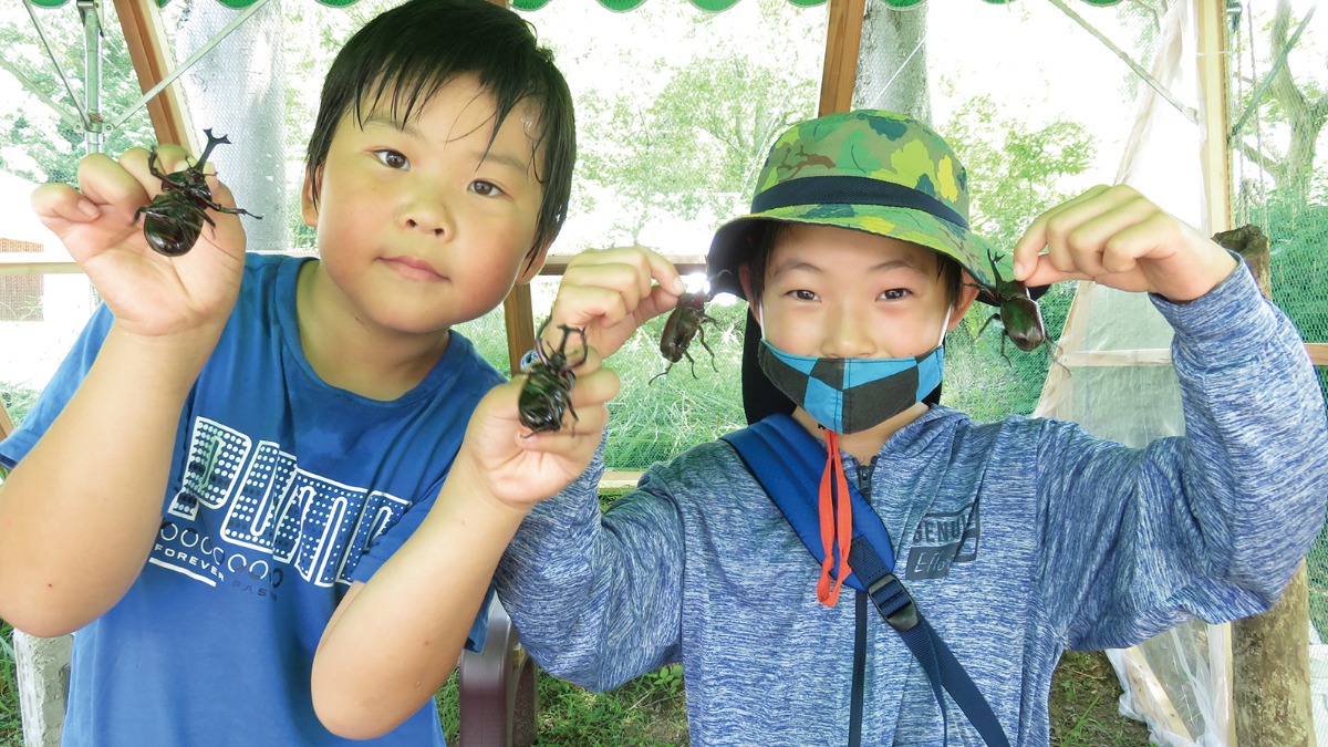 【夏のイベント情報】「いきものトンネル」