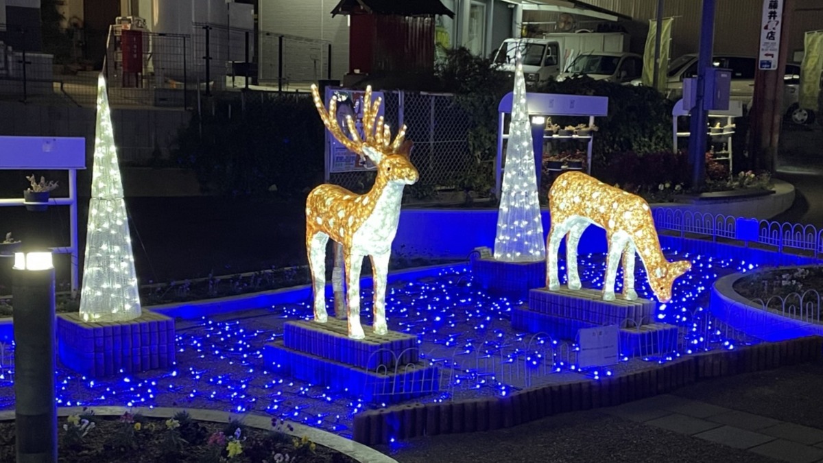 【奈良イルミネーション2022】奈良観光客へのおもてなし♪大宮通りイルミネーション