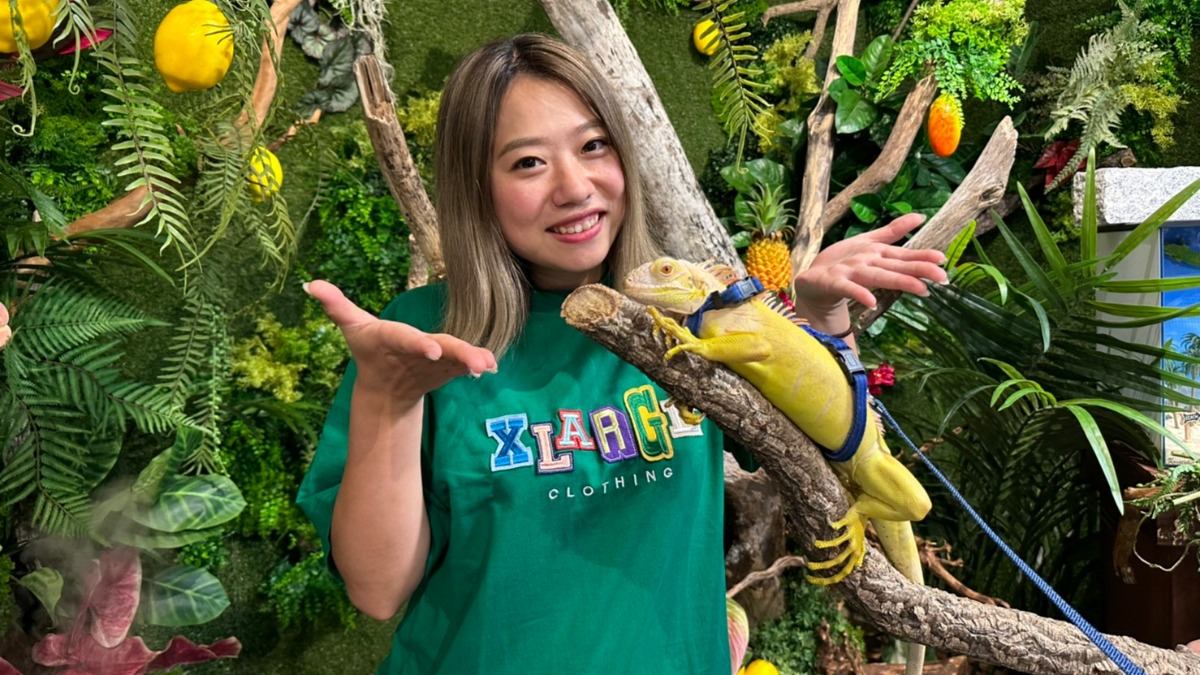 「黄金のイグアナ」とチェキが撮れる！店舗初となるイベント「恐竜たちの夏休み」開催中【NARA IKIMONO MUSEUM（奈良いきものミュージアム）｜奈良市】