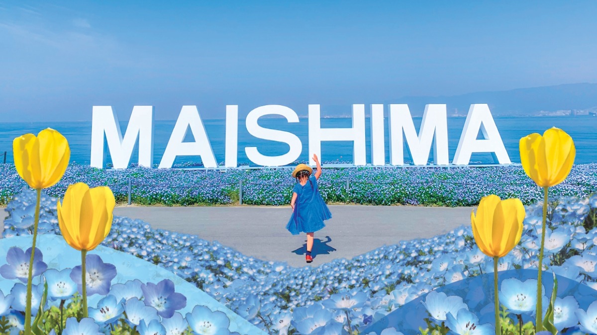 【プレゼント】空・海・花の青のハーモニー！ネモフィラ祭り【大阪まいしまシーサイドパーク】