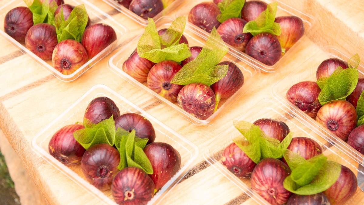 【シェフェスタ】採れたて野菜やパンなど盛りだくさん！「シェフェスタマルシェ」のスケジュールをご紹介！