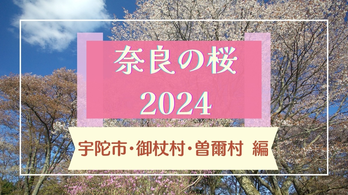 【2024】奈良県「桜情報」　「又兵衛桜」「屏風岩公苑」など「おすすめ桜名所・見どころ」ガイド【宇陀市・御杖村・曽爾村編】