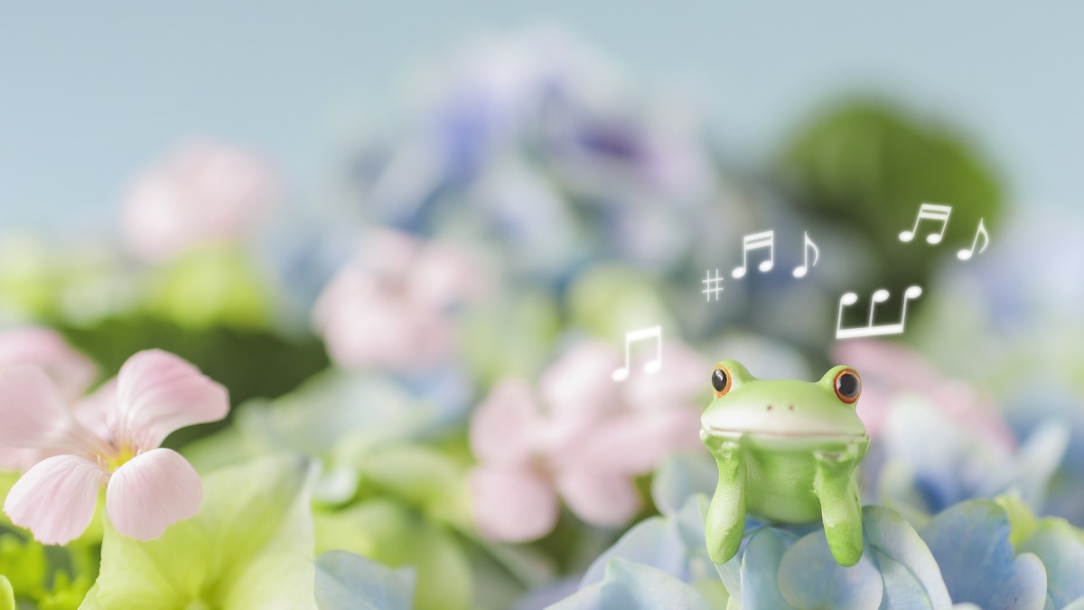 6月6日は邦楽の日！【奈良県的今日は何の日？】