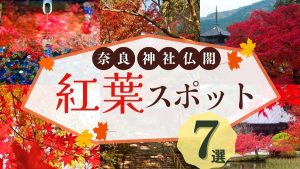 奈良・神社仏閣の紅葉名所7選！夜間ライトアップや特別拝観も【2025年版】