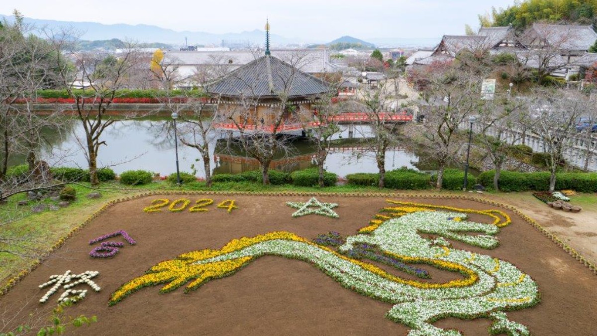 【奈良の初詣2024｜安倍文殊院】恒例のジャンボ干支花絵は「魔を断つ（辰）」！｜桜井市