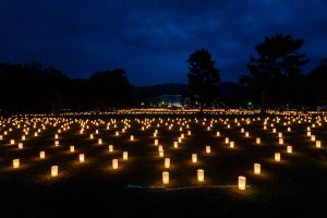 奈良の夏の風物詩「なら燈花会」8月5日(水)～8月14日(金)開催。幻想的な光が古都の夜を包み込む