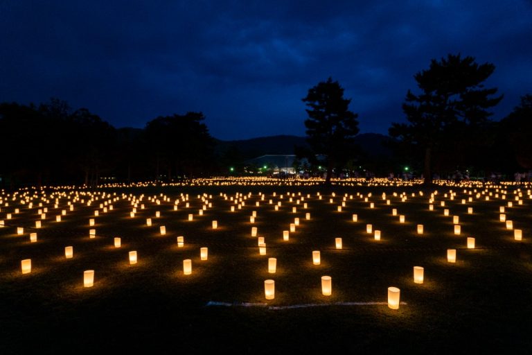 奈良の夏の風物詩「なら燈花会」8月5日(水)～8月14日(金)開催。幻想的な光が古都の夜を包み込む
