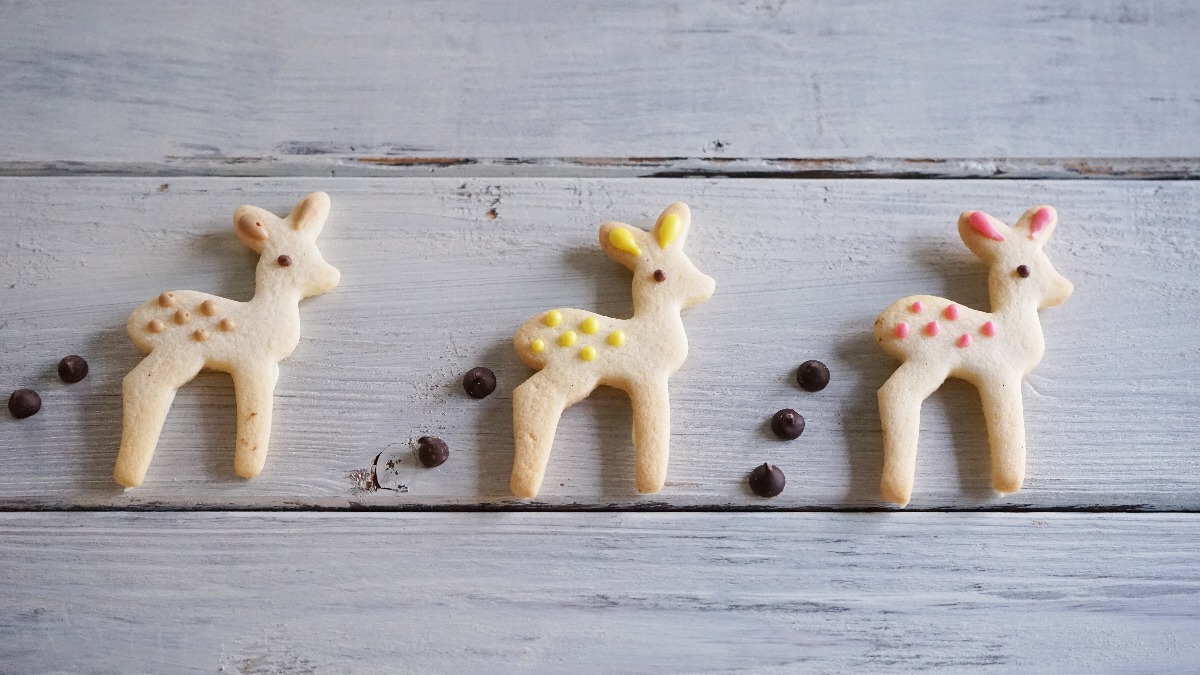 2月28日は「ビスケットの日」【奈良的今日は何の日？】