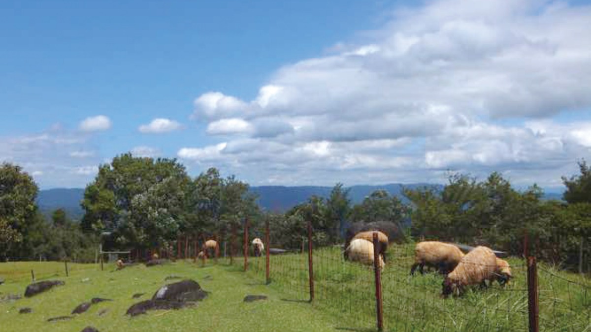 【春の公園ピクニック】フォレストパーク神野山