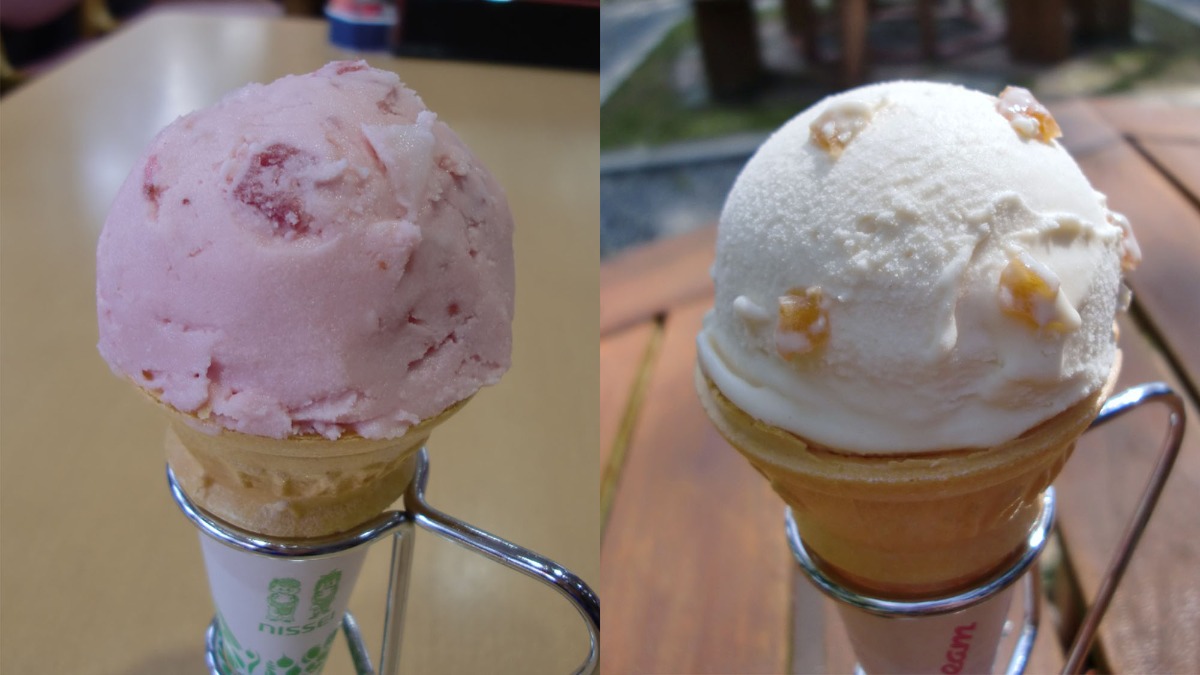 ラムレーズンアイスならぬ、奈良漬アイス！？【信貴山観光iセンター／平群町】