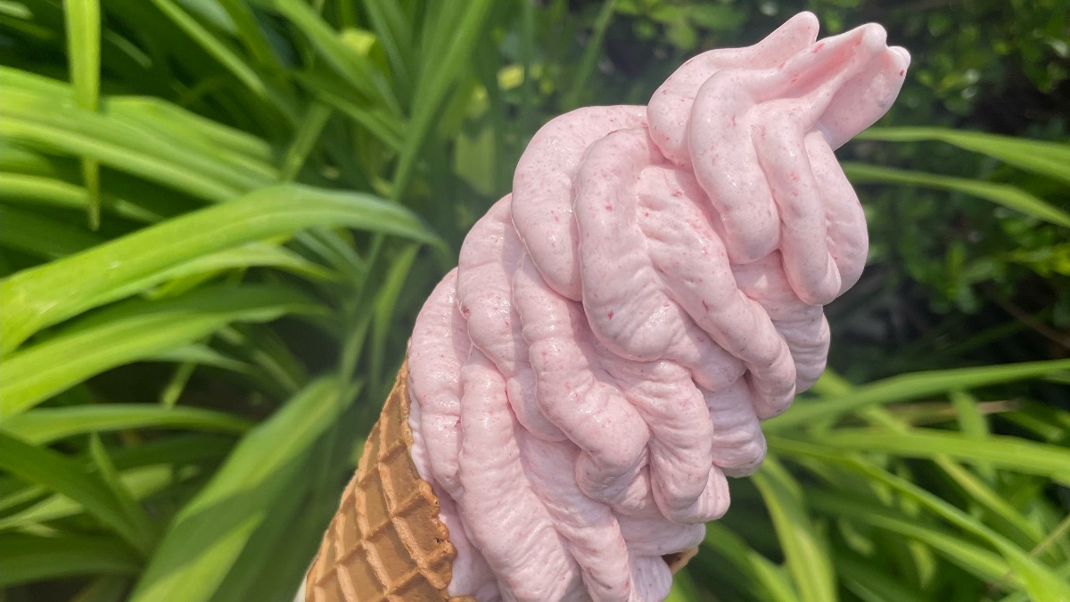 贅沢に果肉を使ったソフトクリームが話題！【あすか野ログハウス／明日香村】