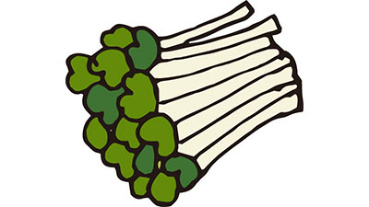 9月18日は「かいわれ大根の日」　奈良県のホームページでは栽培方法が掲載されています【奈良県的今日は何の日？】