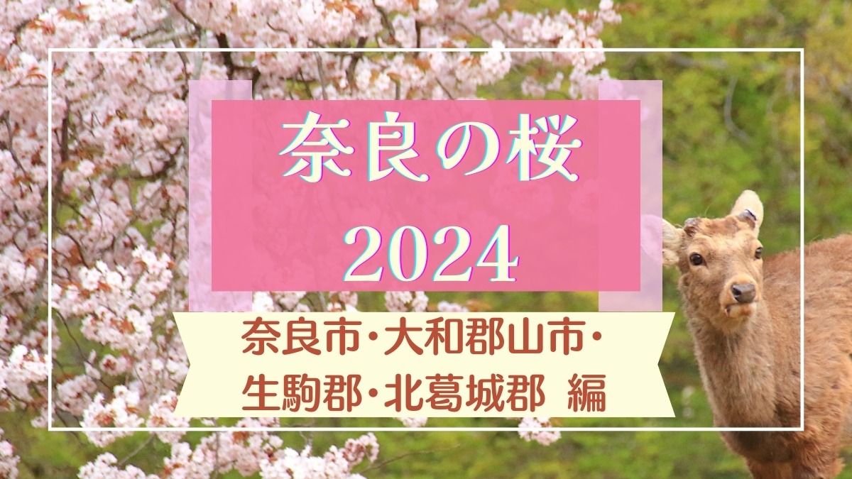 【2024】奈良県「桜情報」　「奈良公園」「史跡郡山城跡」など「おすすめ桜名所・見どころ」ガイド【奈良市・大和郡山市・生駒郡・北葛城郡編】